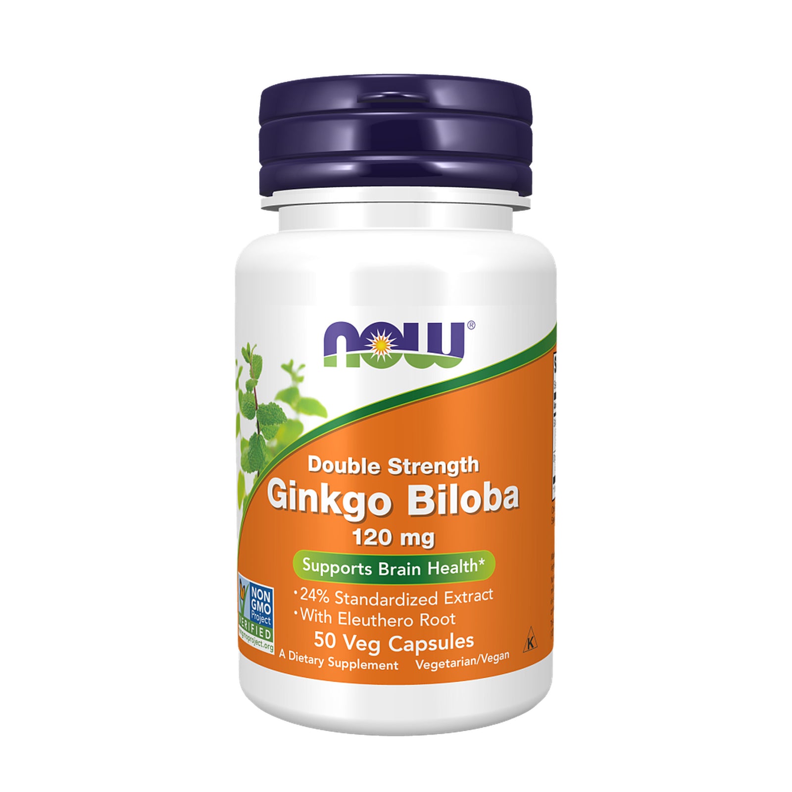 Ginkgo Biloba 120mg