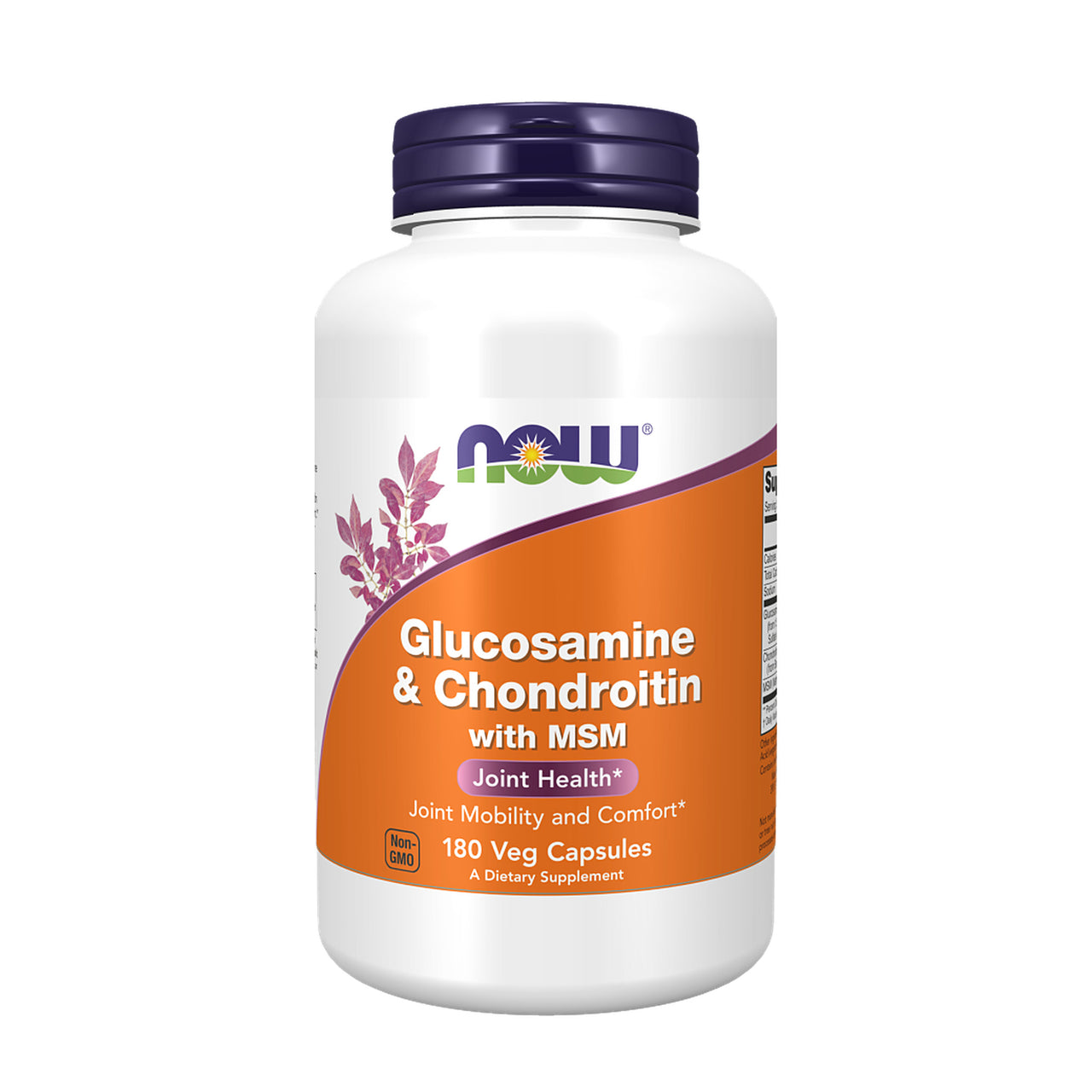 Glucosamine and Chondroitin with MSM
