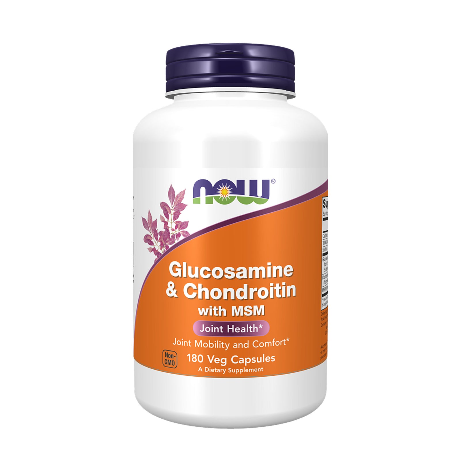 Glucosamine and Chondroitin with MSM