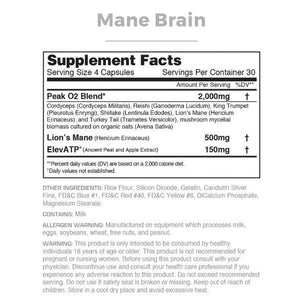 Mane Brain